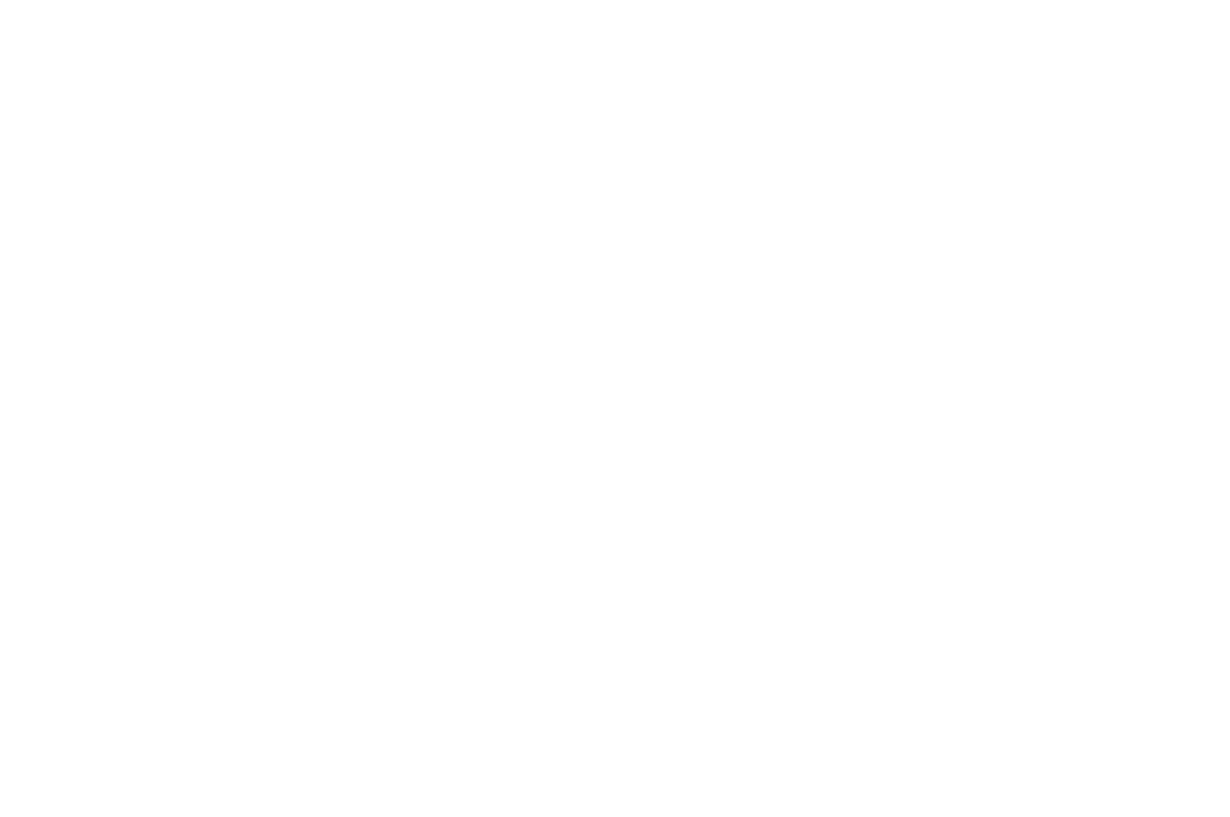 OFFICIAL SELECTION - Focus International Film Festival - 2022 (1) (1)